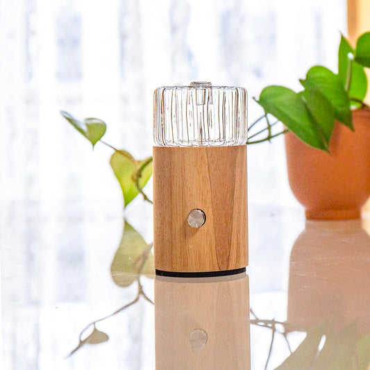 Eco-Friendly Waterless Diffuser | Portable Option Available | No Plastics Pure Essential Oil Diffusing